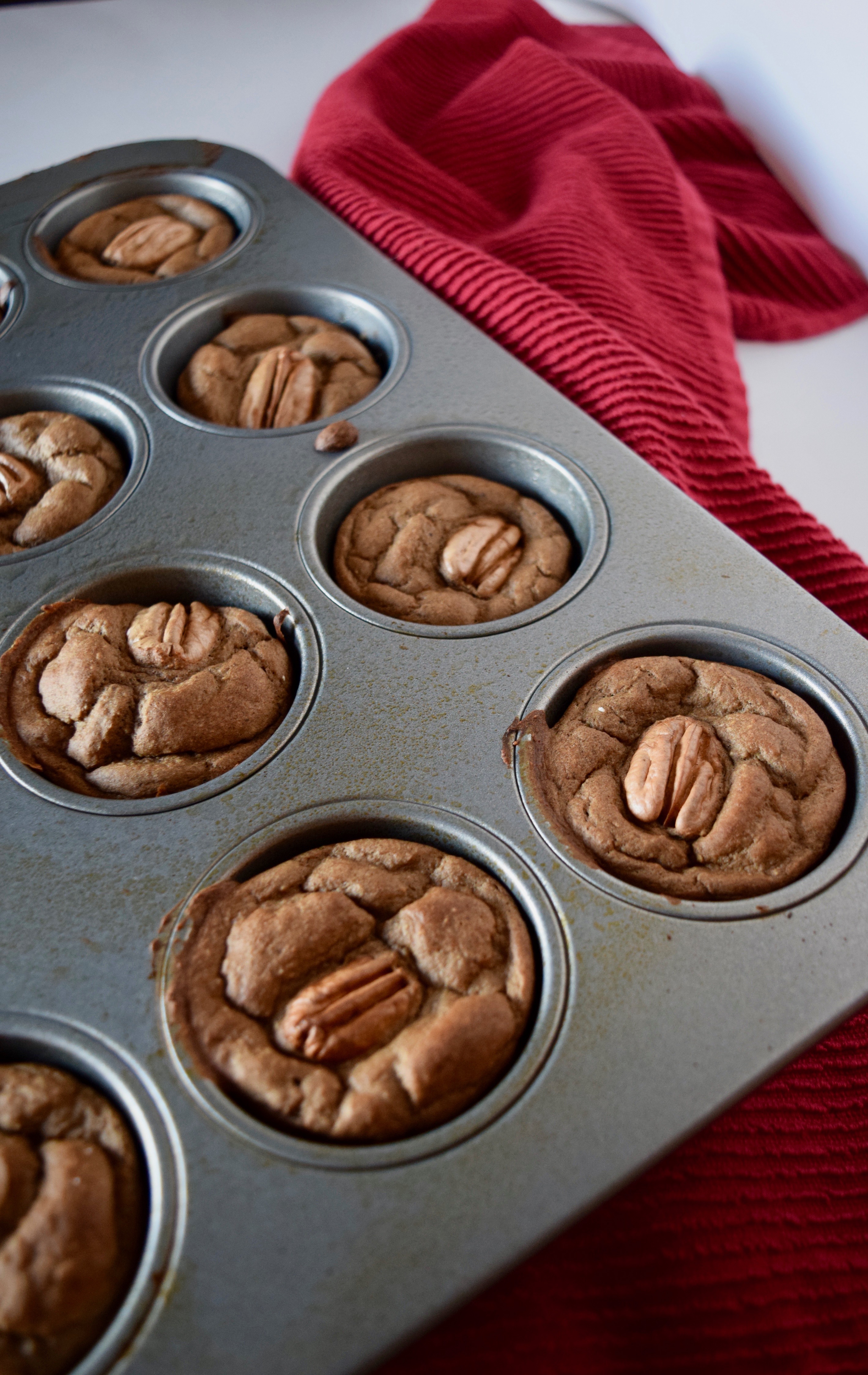 protein muffins | chocolate protein muffins | blender muffin recipe