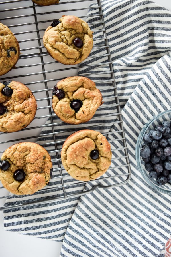 Healthy Blueberry Muffins