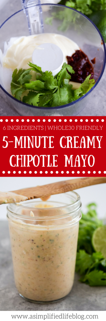 This 5 Minute Creamy Chipotle Mayo is so easy to make- my husband LOVES it! Instantly elevates tacos, sandwiches, burgers, and more!